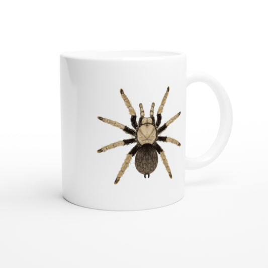 Arizona Blonde Tarantula, Aphonopelma Chalcodes, Ceramic Graphic Mug from The Silk Ranch