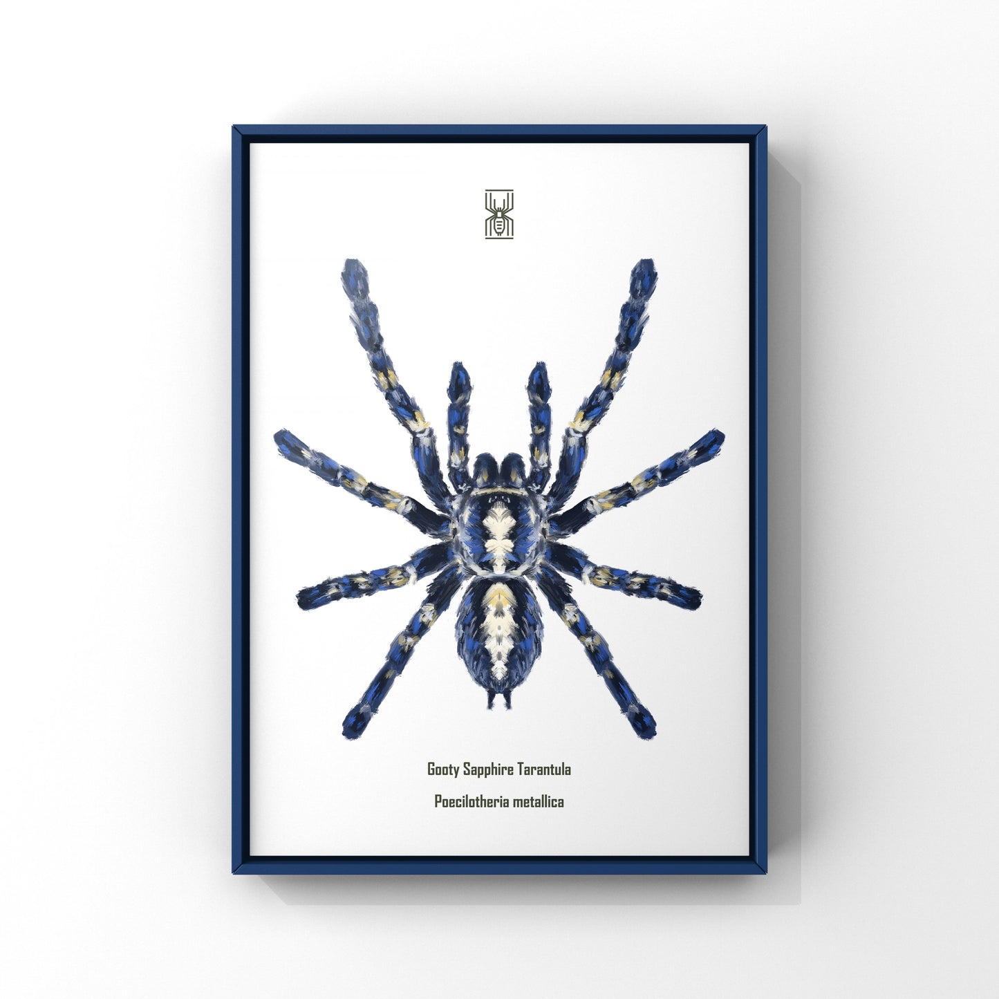 Gooty Sapphire Tarantula, Poecilotheria Metallica, Photographic Art Print