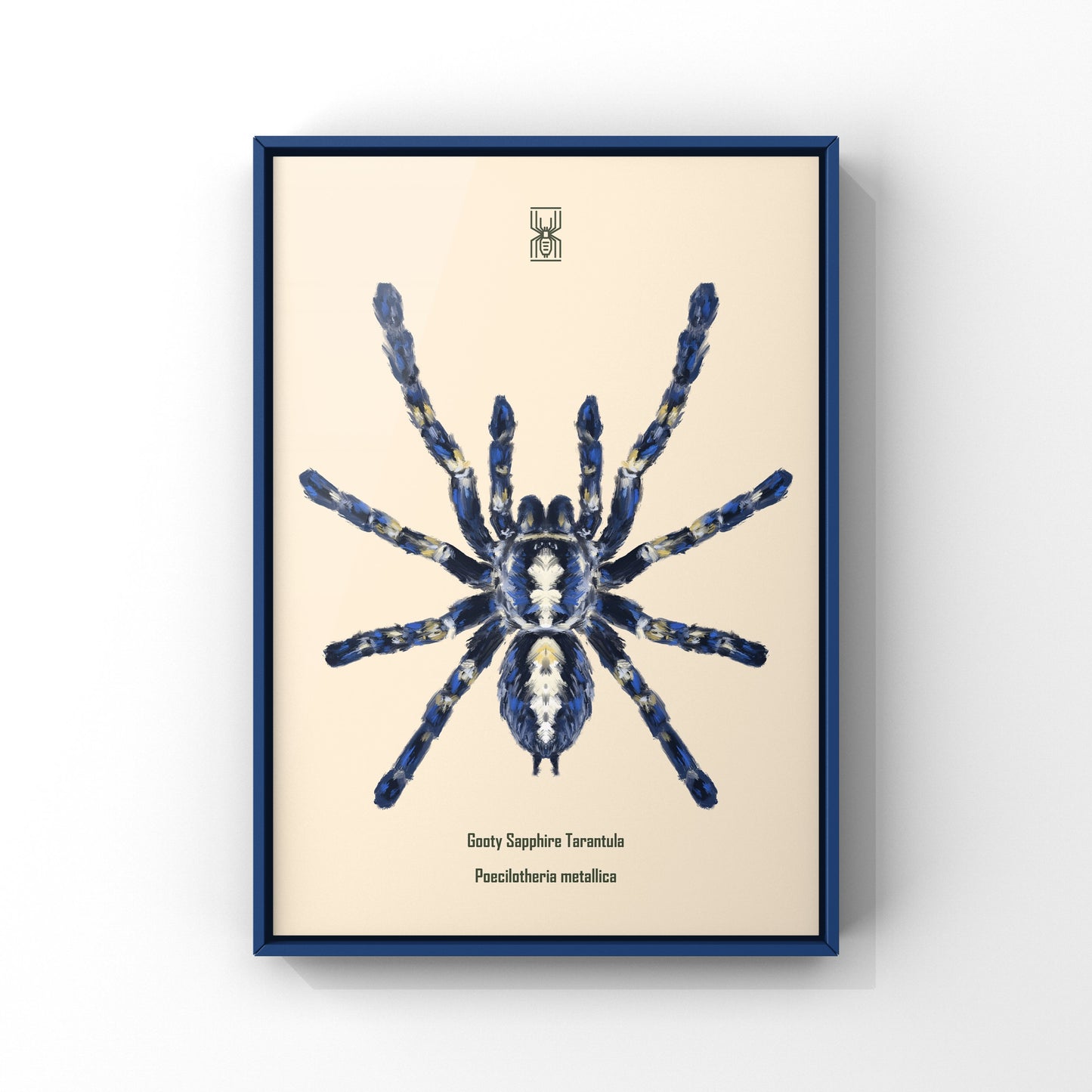 Gooty Sapphire Tarantula, Poecilotheria Metallica, Photographic Art Print