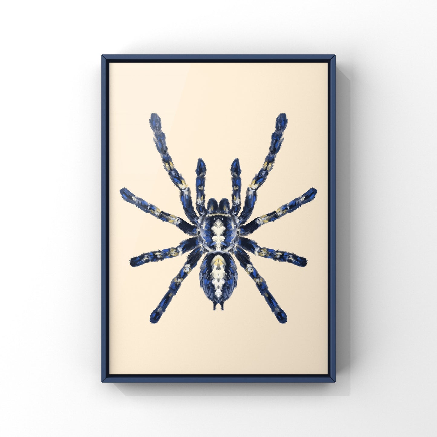 Gooty Sapphire Tarantula, Poecilotheria Metallica, Photographic Art Print