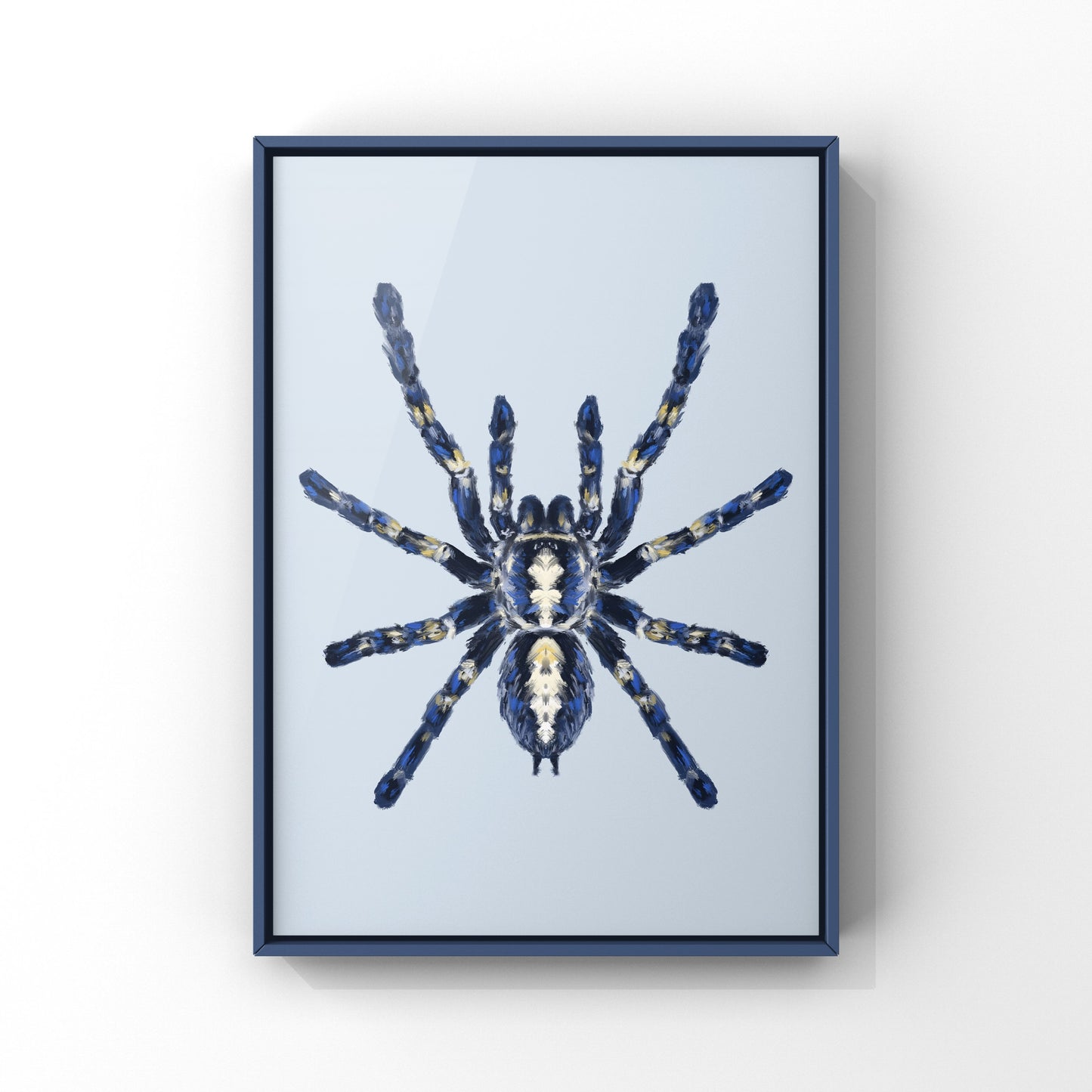 Gooty Sapphire Tarantula, Poecilotheria Metallica, Photographic Art Print