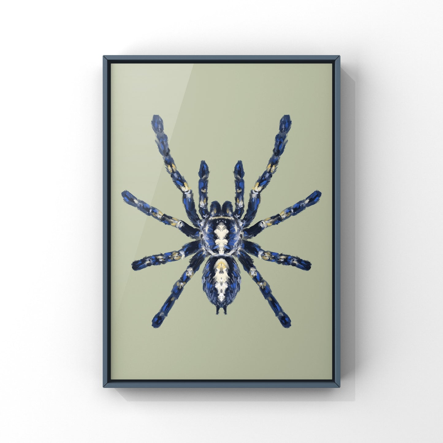 Gooty Sapphire Tarantula, Poecilotheria Metallica, Photographic Art Print