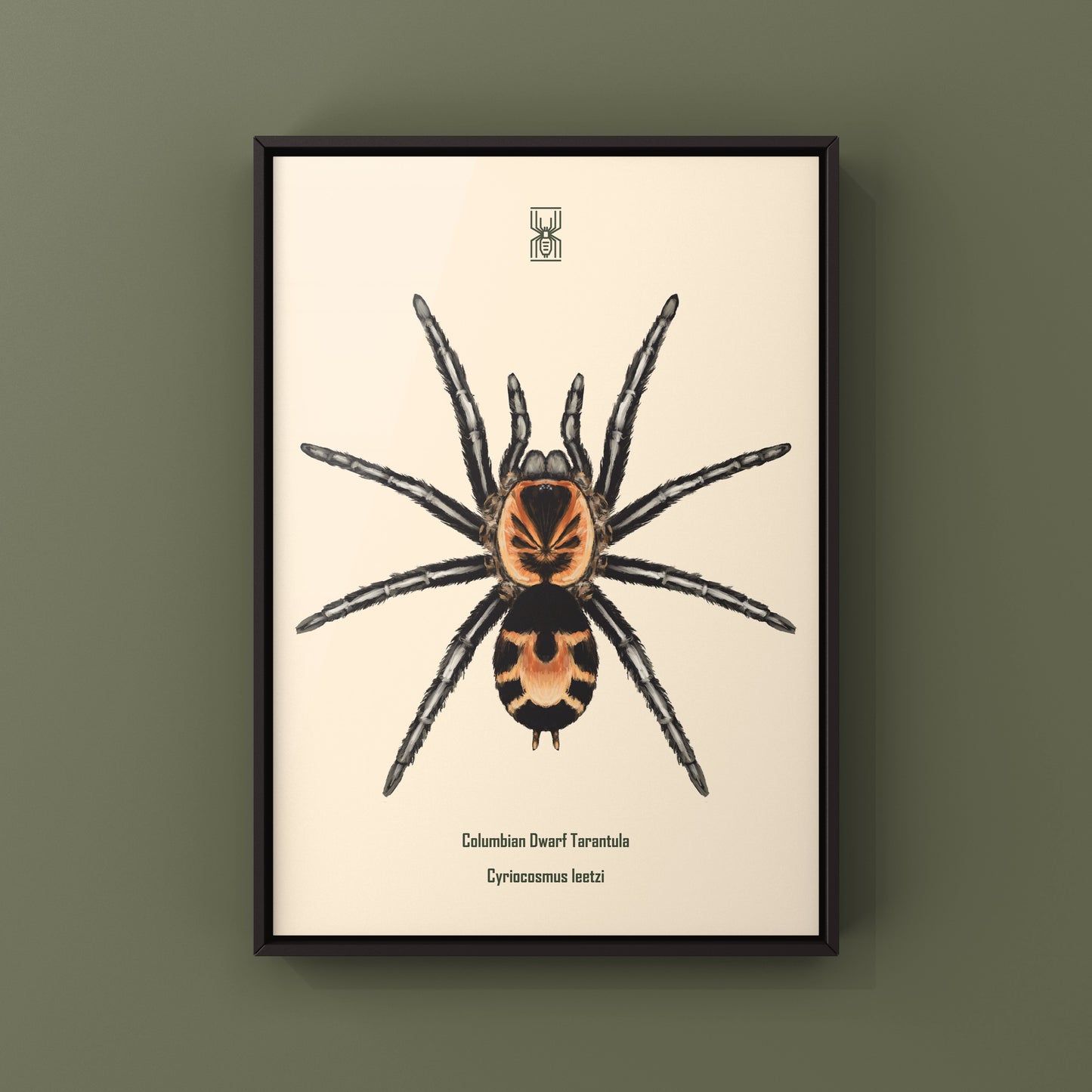 Columbian Dwarf Tarantula, Cyriocosmus Leetzi, Photographic Art Print