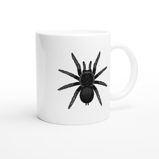 Brazilian Black Tarantula, Grammostola Pulchra, Ceramic Graphic Mug from The Silk Ranch