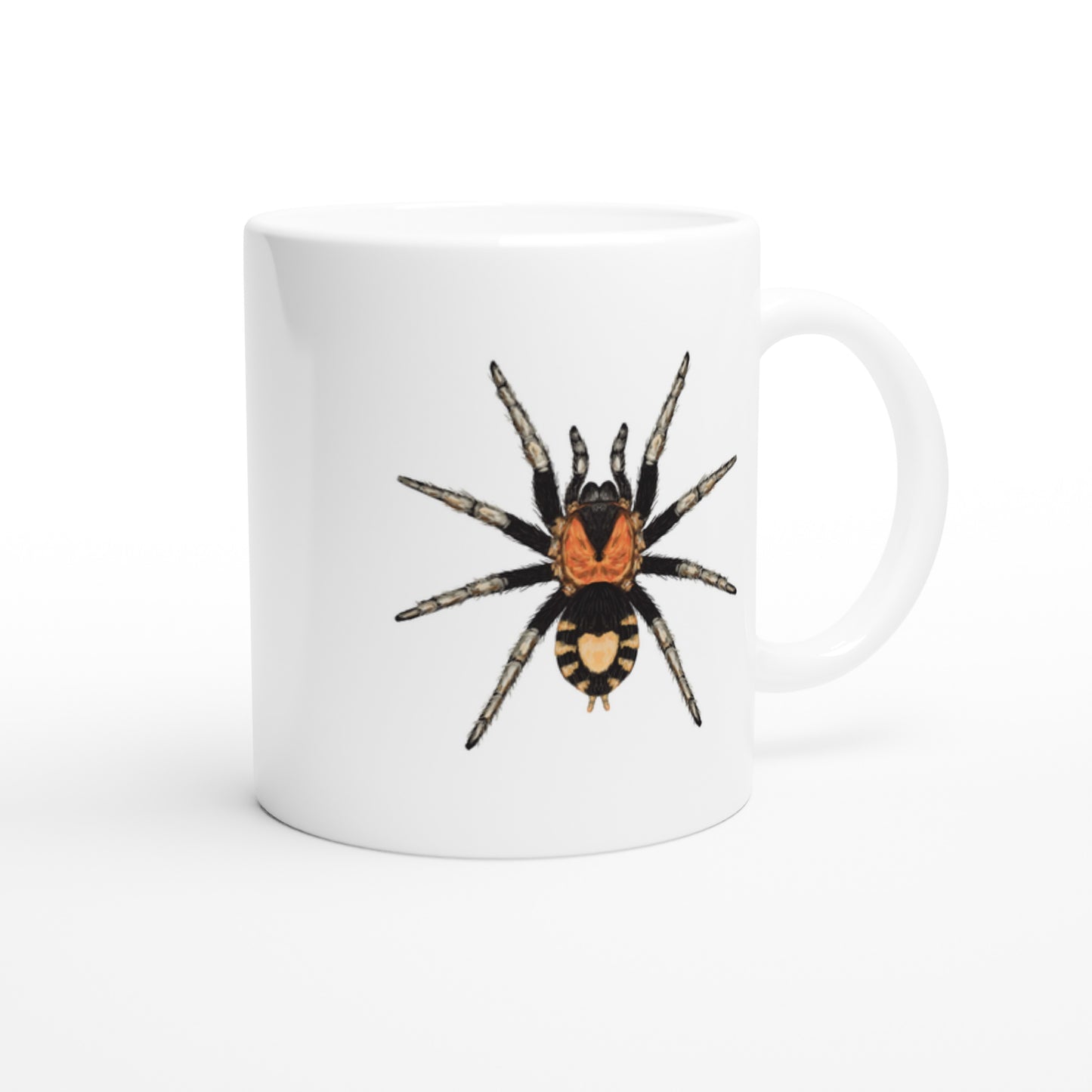 Trinidad Dwarf Tarantula, Cyriocosmus Elegans, Ceramic Graphic Mug