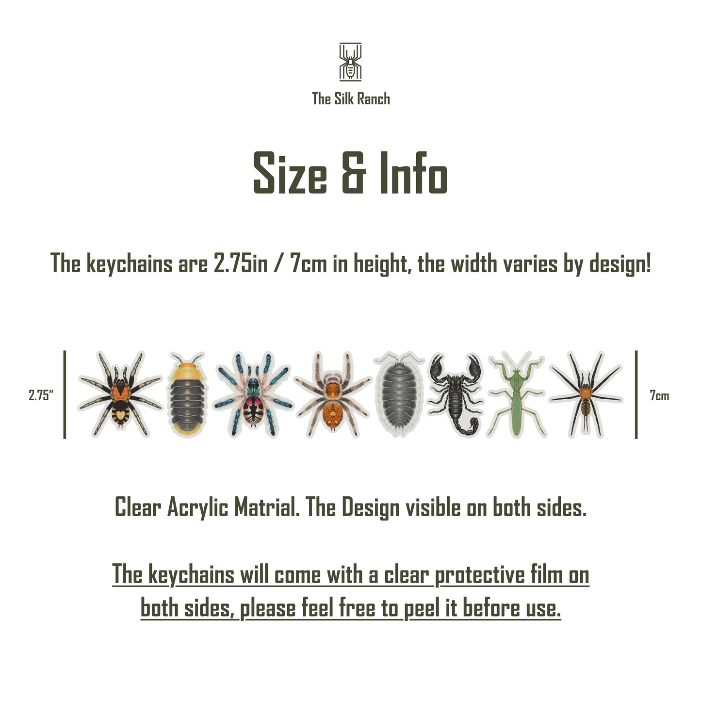 Mexican Fireleg Tarantula, Brachypelma Boehmei Acrylic Keychain