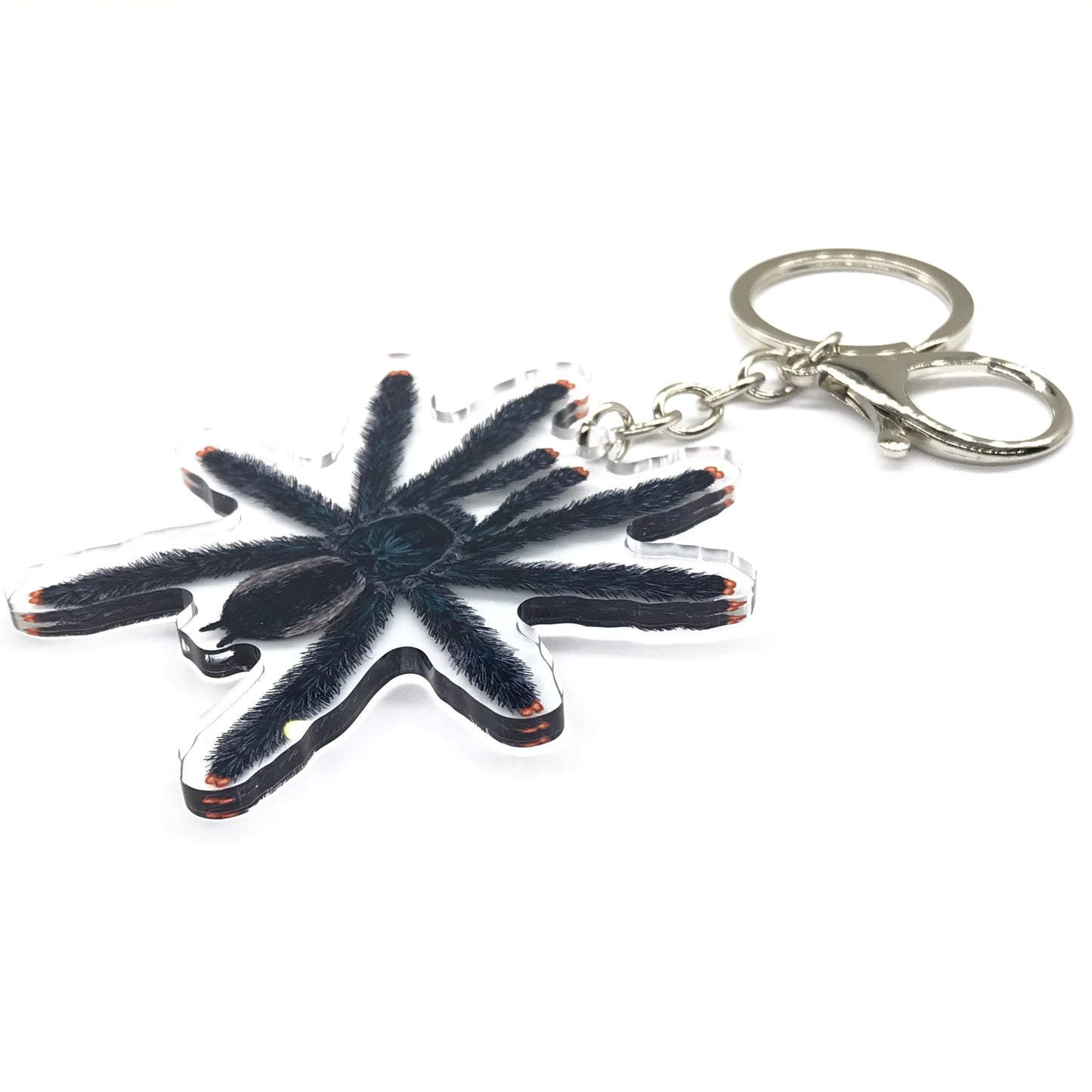 Guyana Pinktoe Tarantula, Avicularia Avicularia Acrylic Keychain