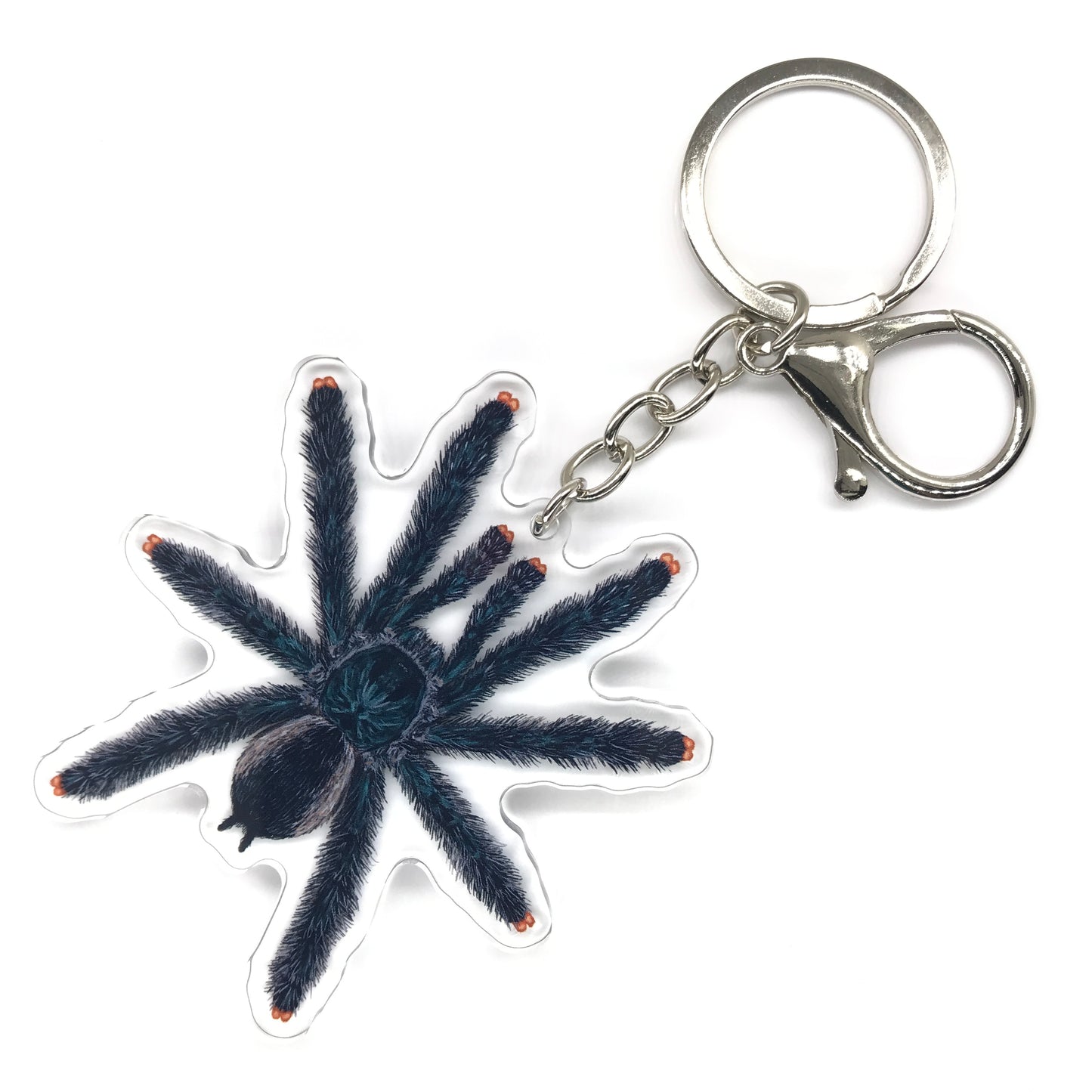 Guyana Pinktoe Tarantula, Avicularia Avicularia Acrylic Keychain