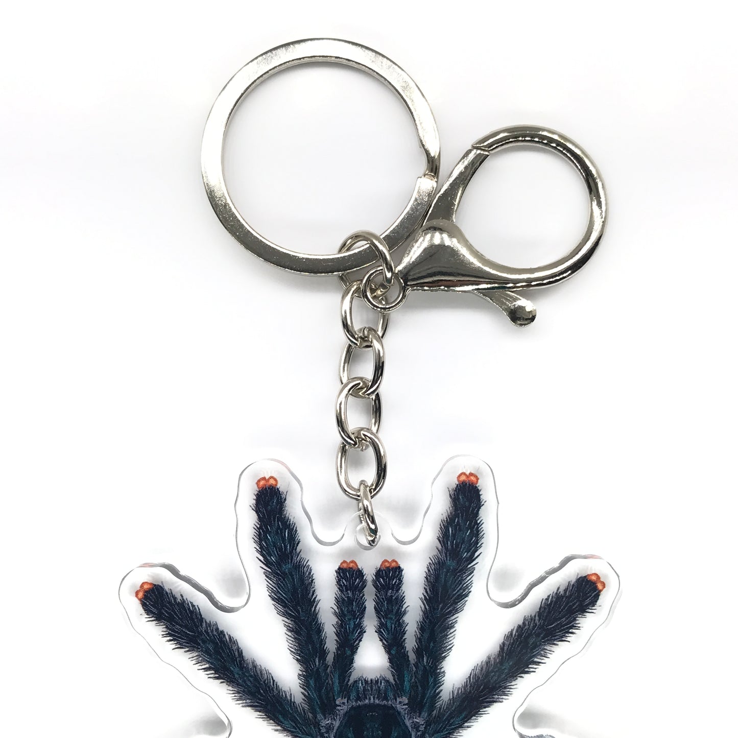 Guyana Pinktoe Tarantula, Avicularia Avicularia Acrylic Keychain