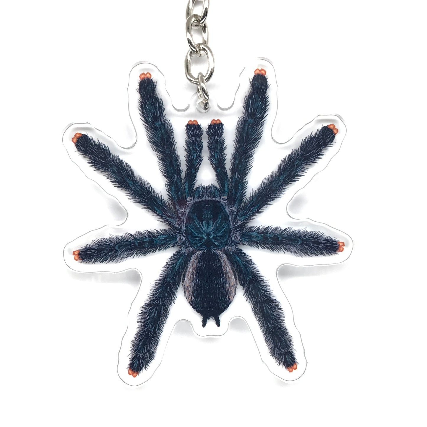 Guyana Pinktoe Tarantula, Avicularia Avicularia Acrylic Keychain