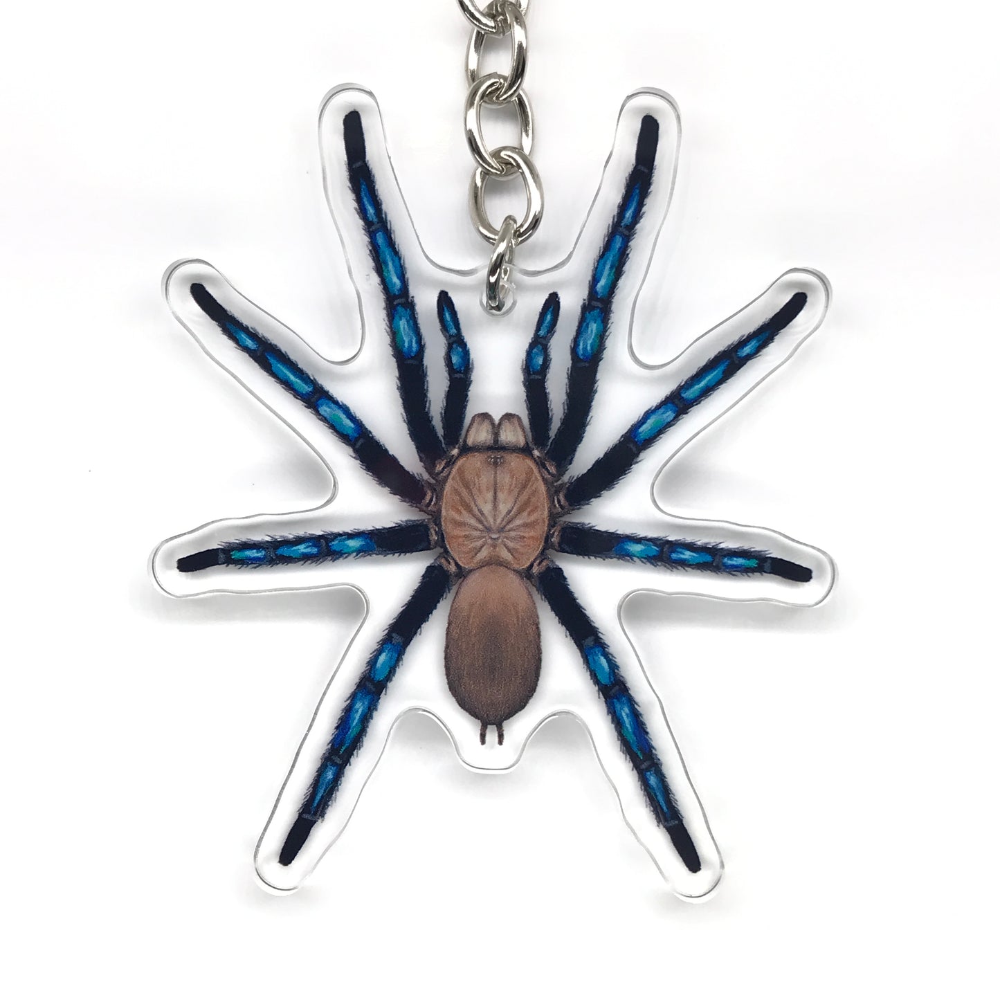 Neon Blue Leg Tarantula, Birupes Simoroxigorum Acrylic Keychain