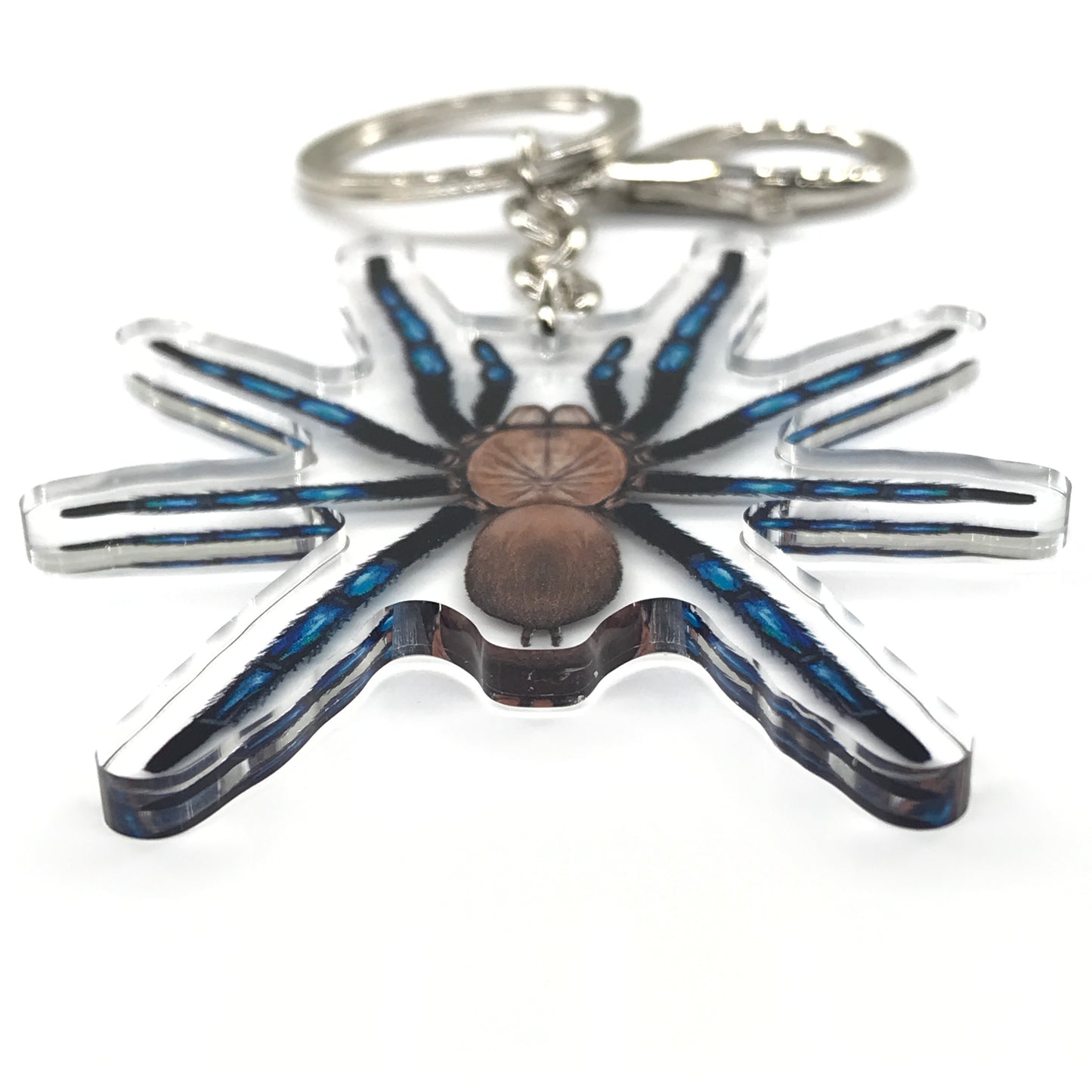 Neon Blue Leg Tarantula, Birupes Simoroxigorum Acrylic Keychain