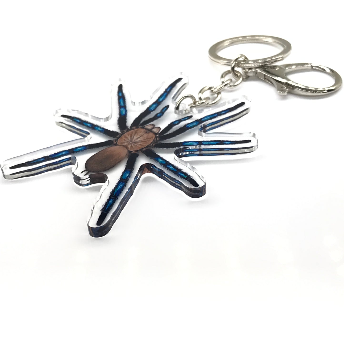Neon Blue Leg Tarantula, Birupes Simoroxigorum Acrylic Keychain