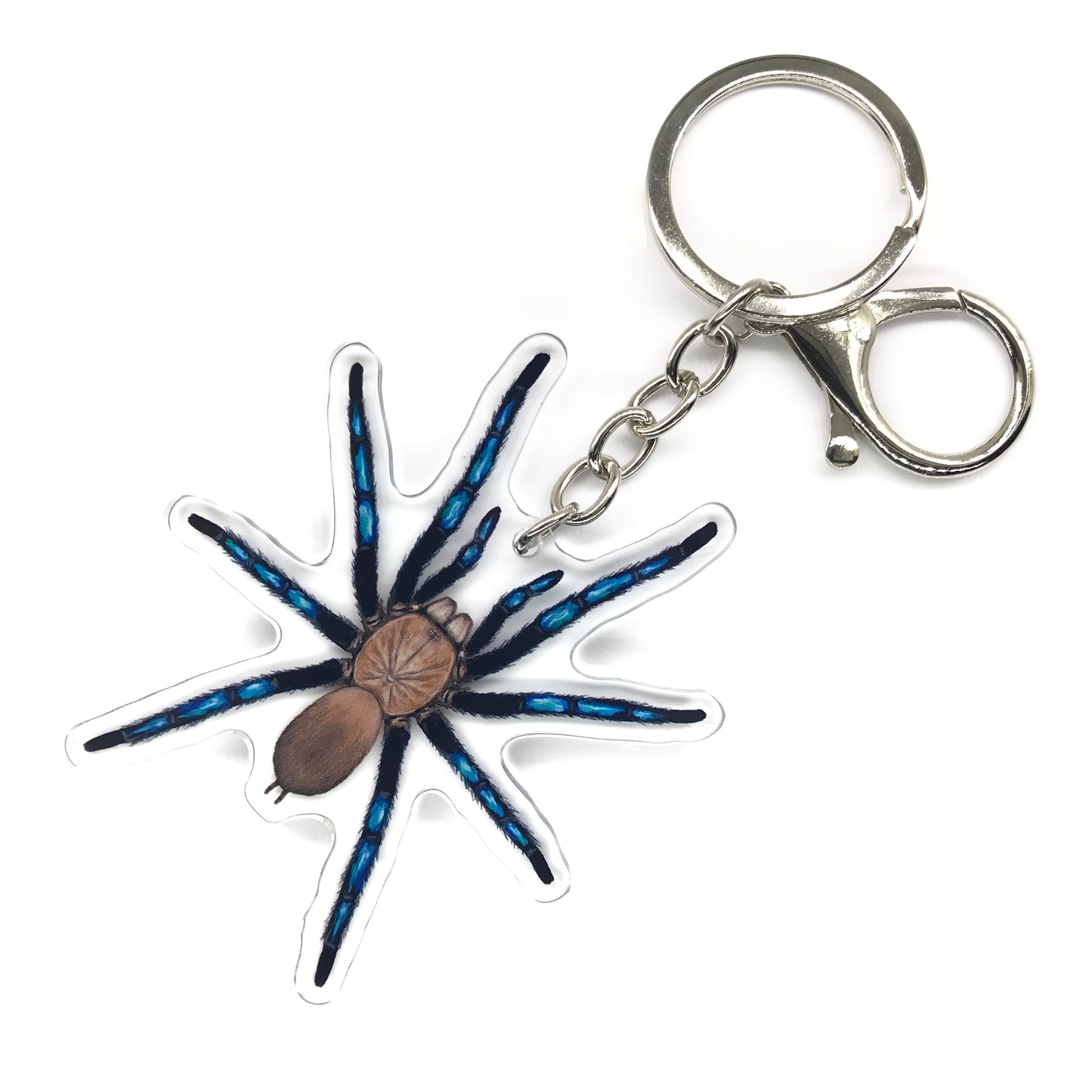 Neon Blue Leg Tarantula, Birupes Simoroxigorum Acrylic Keychain