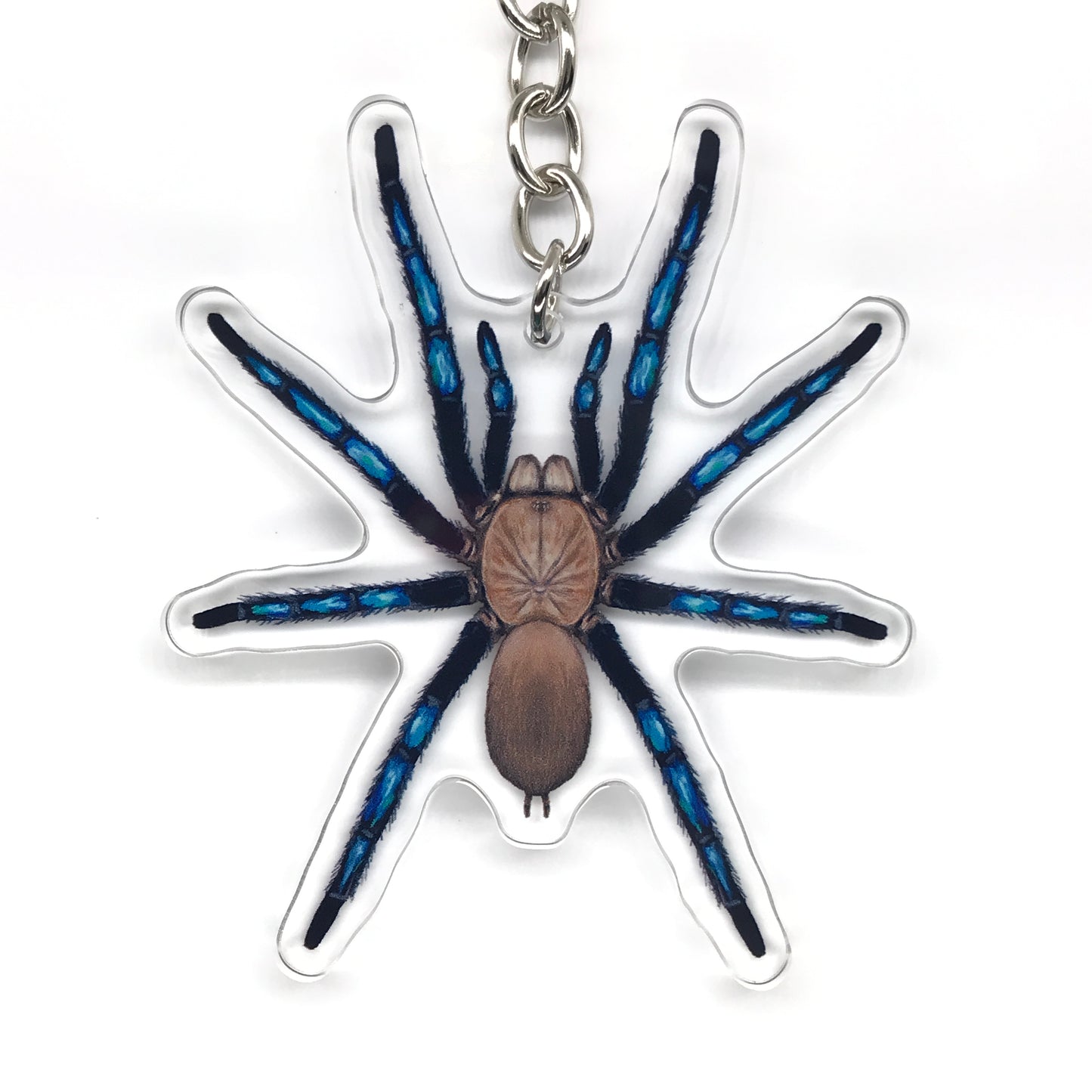 Neon Blue Leg Tarantula, Birupes Simoroxigorum Acrylic Keychain