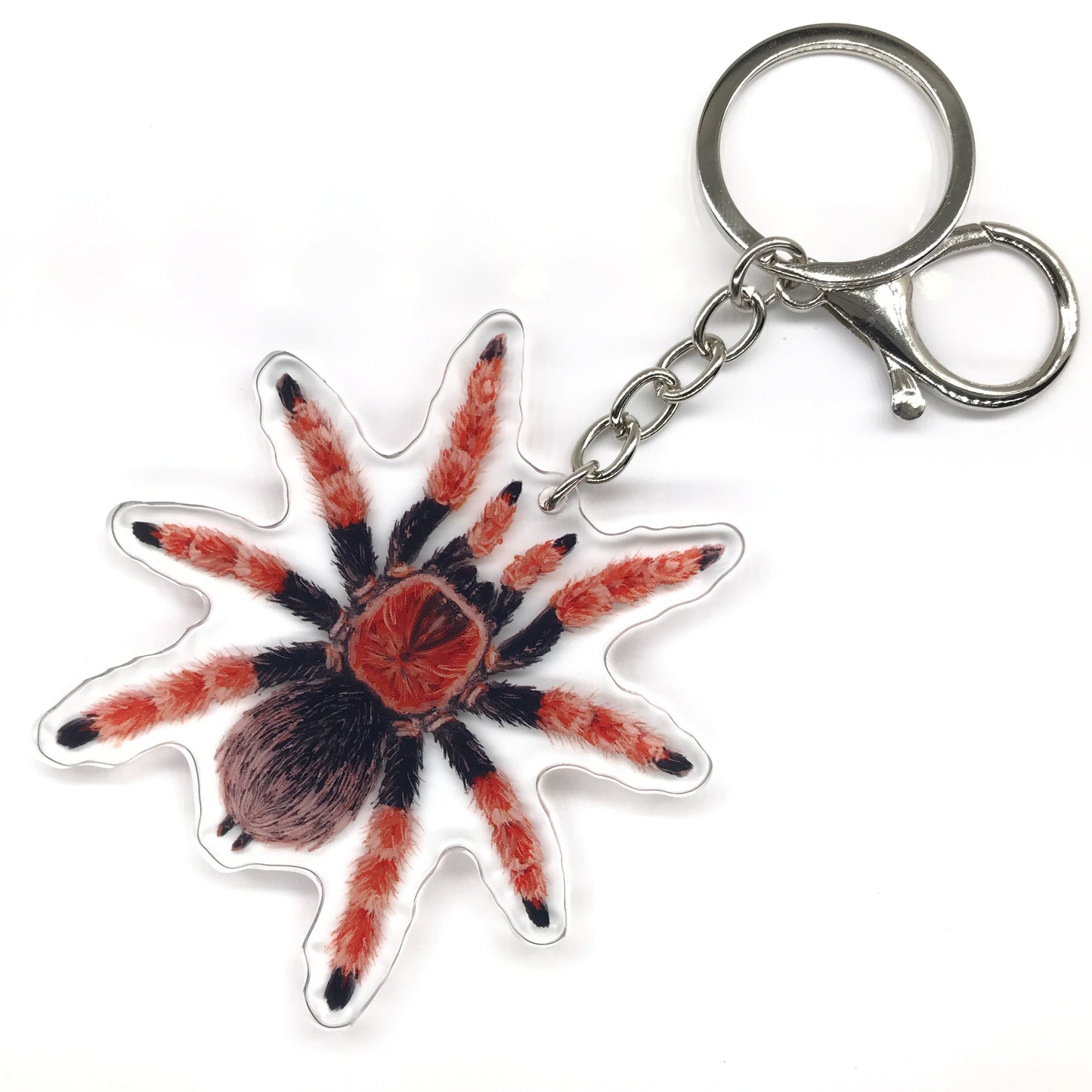 Mexican Fireleg Tarantula, Brachypelma Boehmei Acrylic Keychain