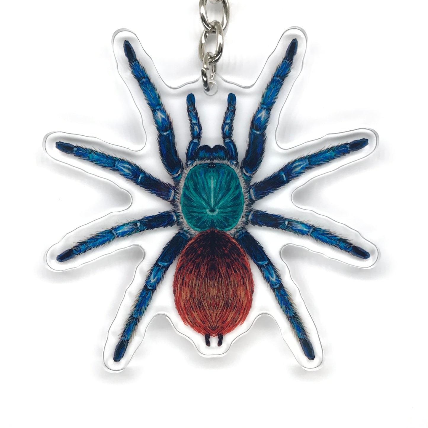 Greenbottle Blue Tarantula, Chromatopelma Cyaneopubescens Acrylic Keychain