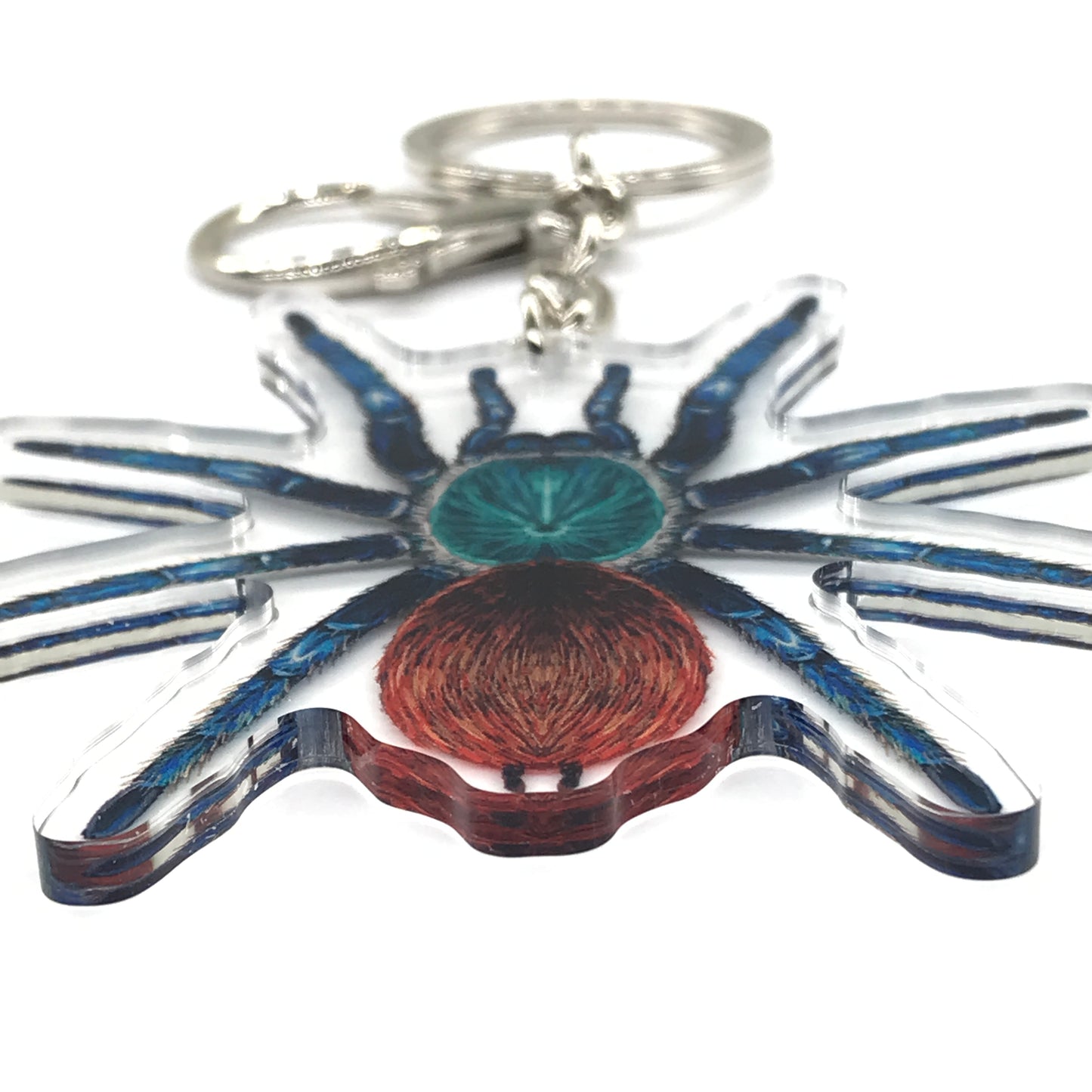 Greenbottle Blue Tarantula, Chromatopelma Cyaneopubescens Acrylic Keychain
