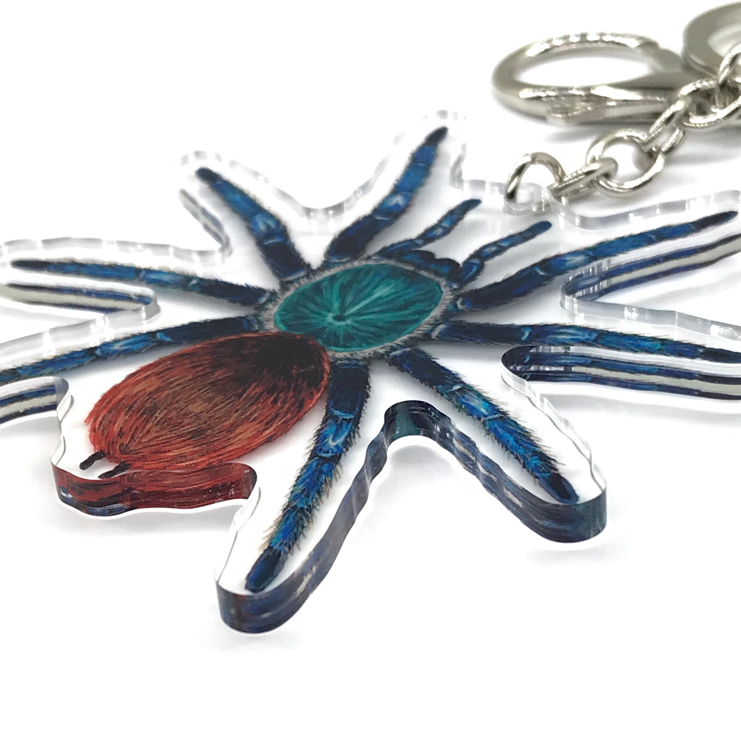 Greenbottle Blue Tarantula, Chromatopelma Cyaneopubescens Acrylic Keychain