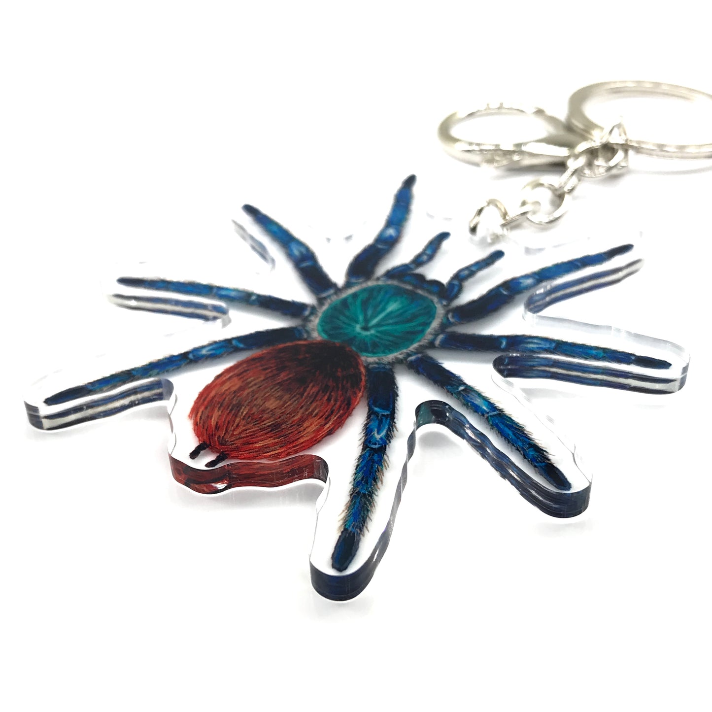 Greenbottle Blue Tarantula, Chromatopelma Cyaneopubescens Acrylic Keychain