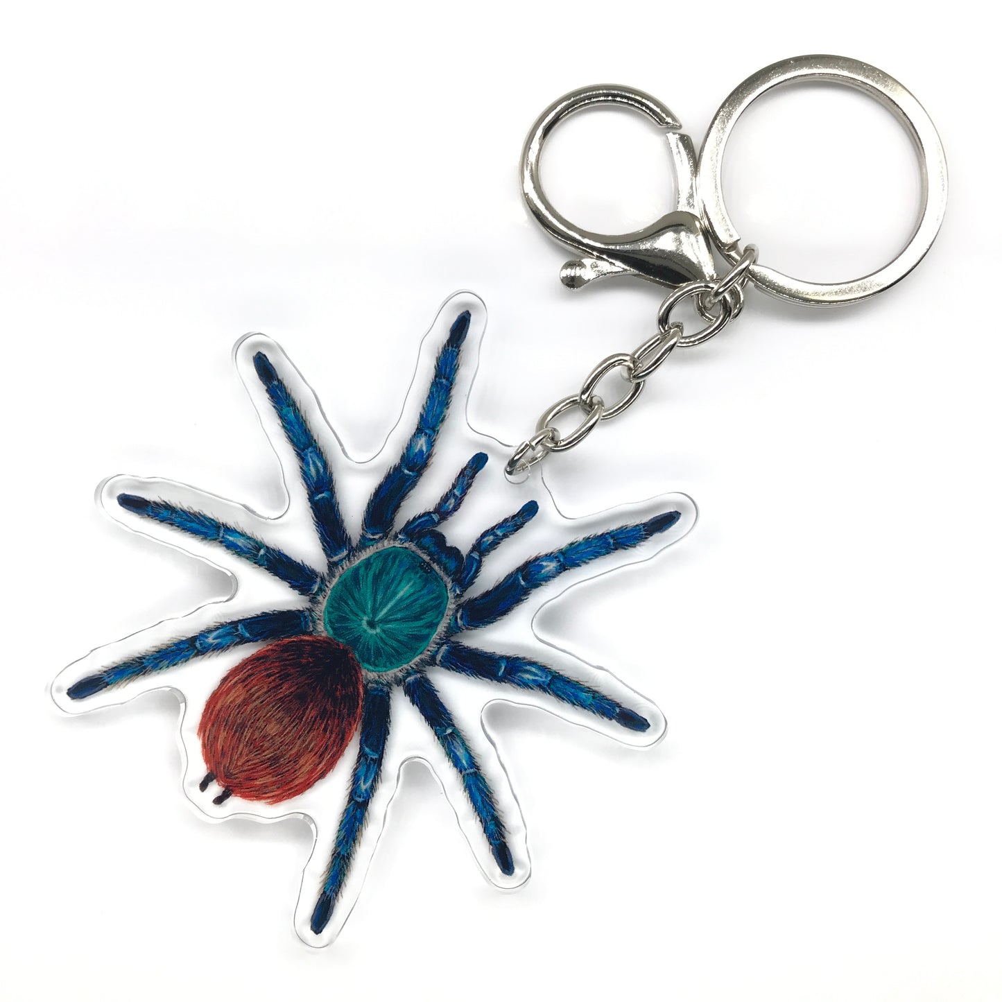 Greenbottle Blue Tarantula, Chromatopelma Cyaneopubescens Acrylic Keychain
