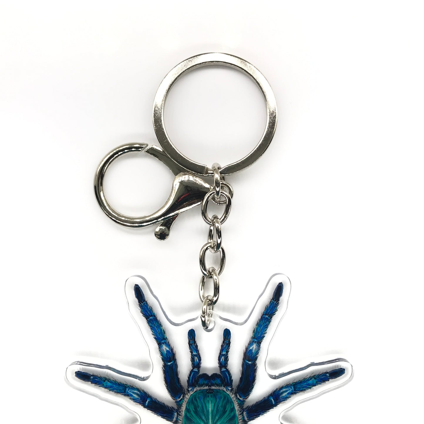 Greenbottle Blue Tarantula, Chromatopelma Cyaneopubescens Acrylic Keychain