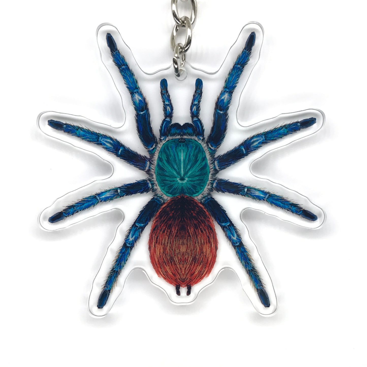 Greenbottle Blue Tarantula, Chromatopelma Cyaneopubescens Acrylic Keychain