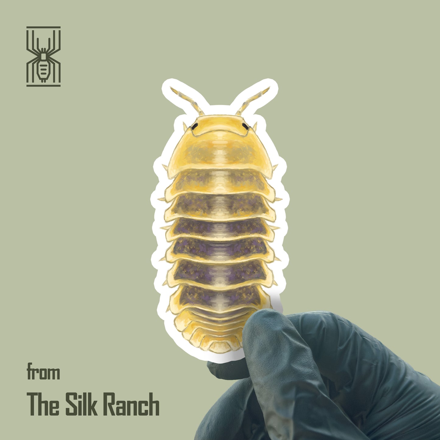 Jupiter Isopod Sticker, Cubaris sp. Jupiter Waterproof Vinyl Sticker