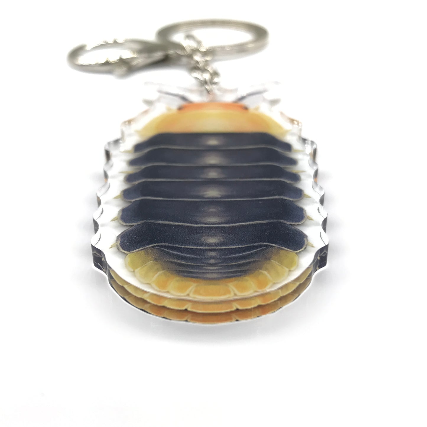 Rubber Ducky Isopod, Cubaris sp. Rubber Ducky Acrylic Keychain