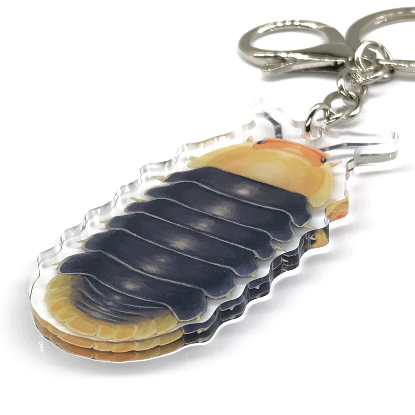 Rubber Ducky Isopod, Cubaris sp. Rubber Ducky Acrylic Keychain