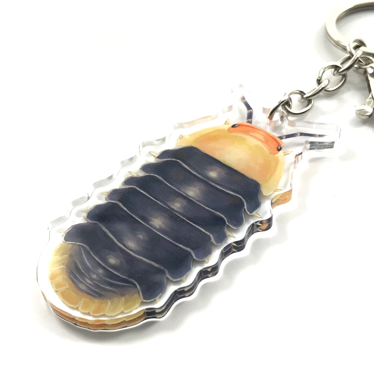 Rubber Ducky Isopod, Cubaris sp. Rubber Ducky Acrylic Keychain