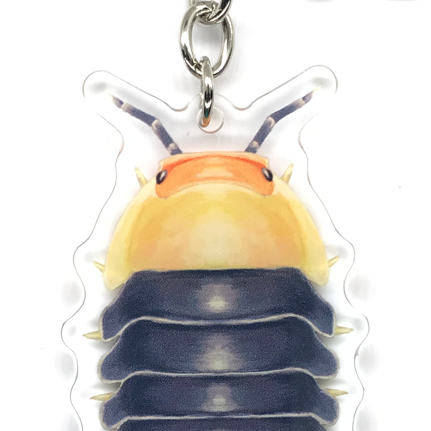 Rubber Ducky Isopod, Cubaris sp. Rubber Ducky Acrylic Keychain