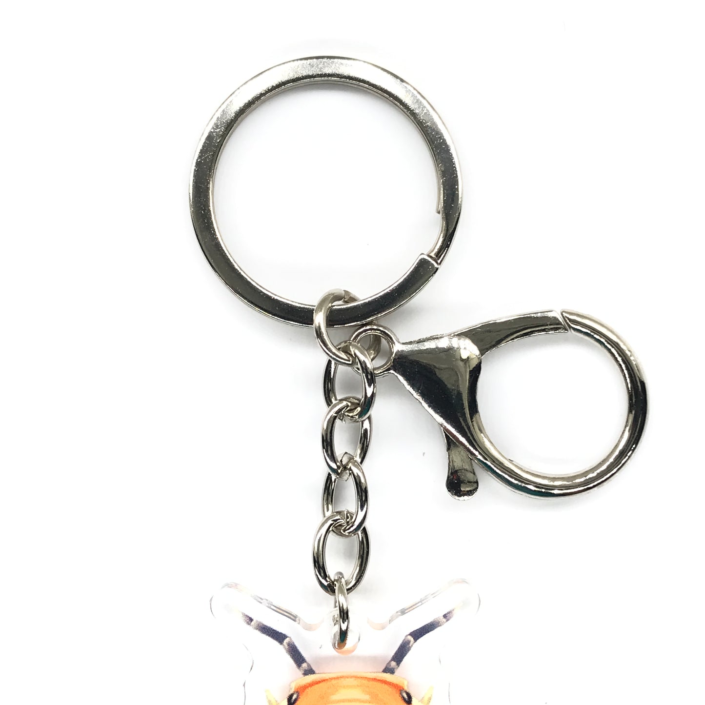 Rubber Ducky Isopod, Cubaris sp. Rubber Ducky Acrylic Keychain