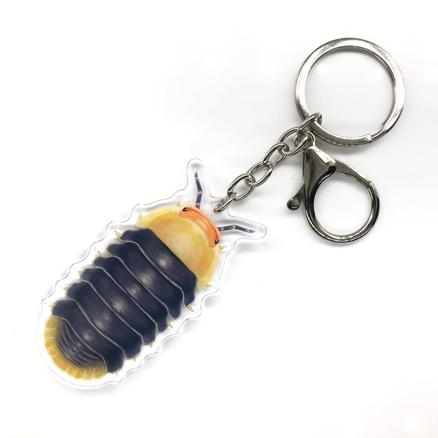 Rubber Ducky Isopod, Cubaris sp. Rubber Ducky Acrylic Keychain