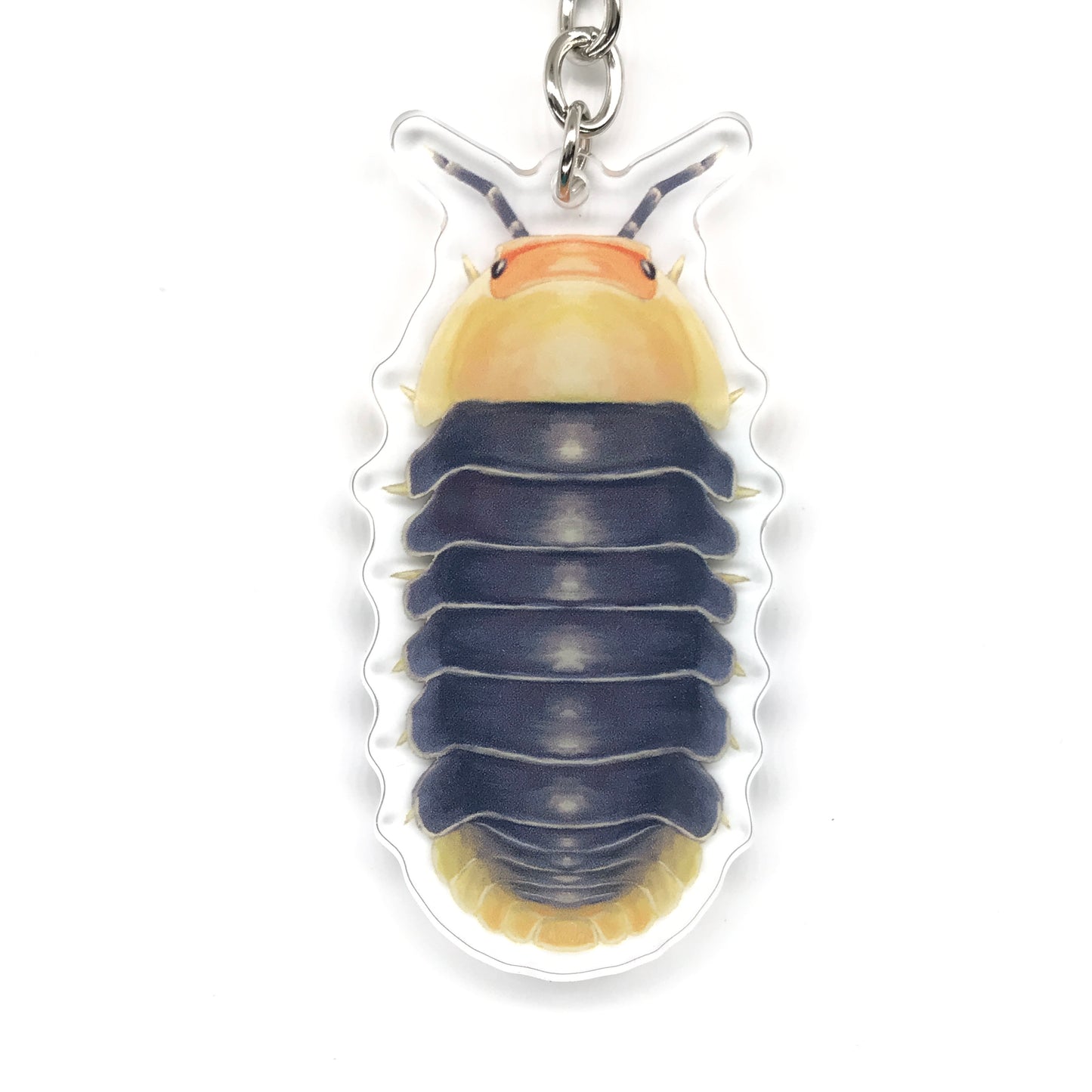 Rubber Ducky Isopod, Cubaris sp. Rubber Ducky Acrylic Keychain