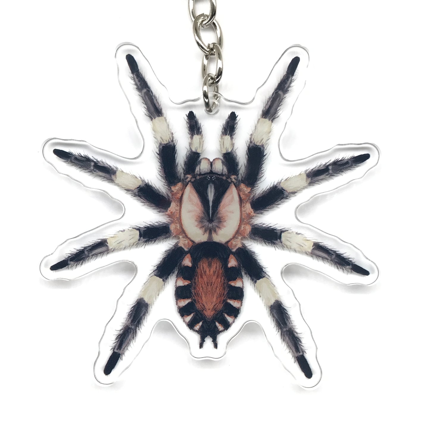 Peruvian Black And White Tarantula, Cyriocosmus Ritae Acrylic Keychain