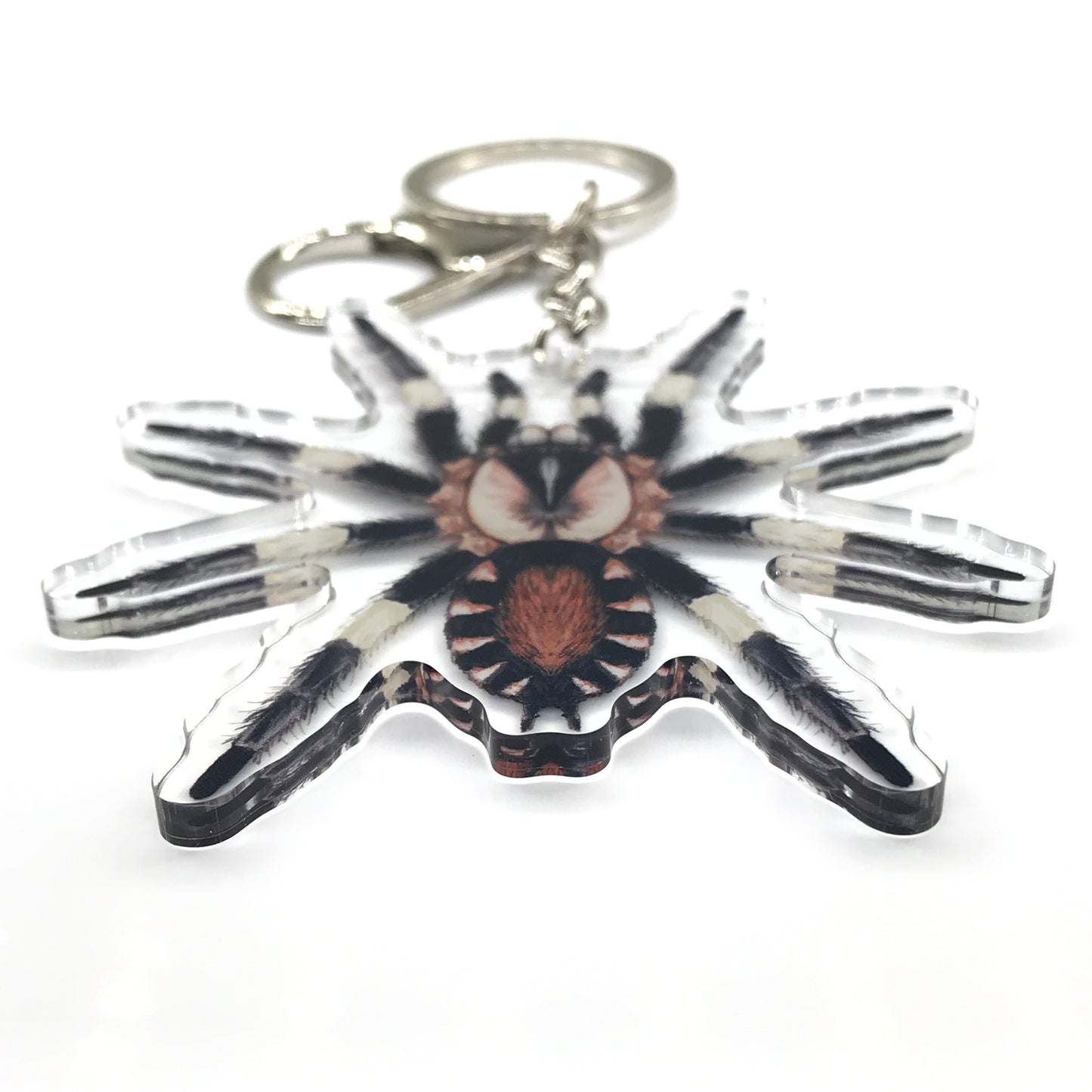 Peruvian Black And White Tarantula, Cyriocosmus Ritae Acrylic Keychain