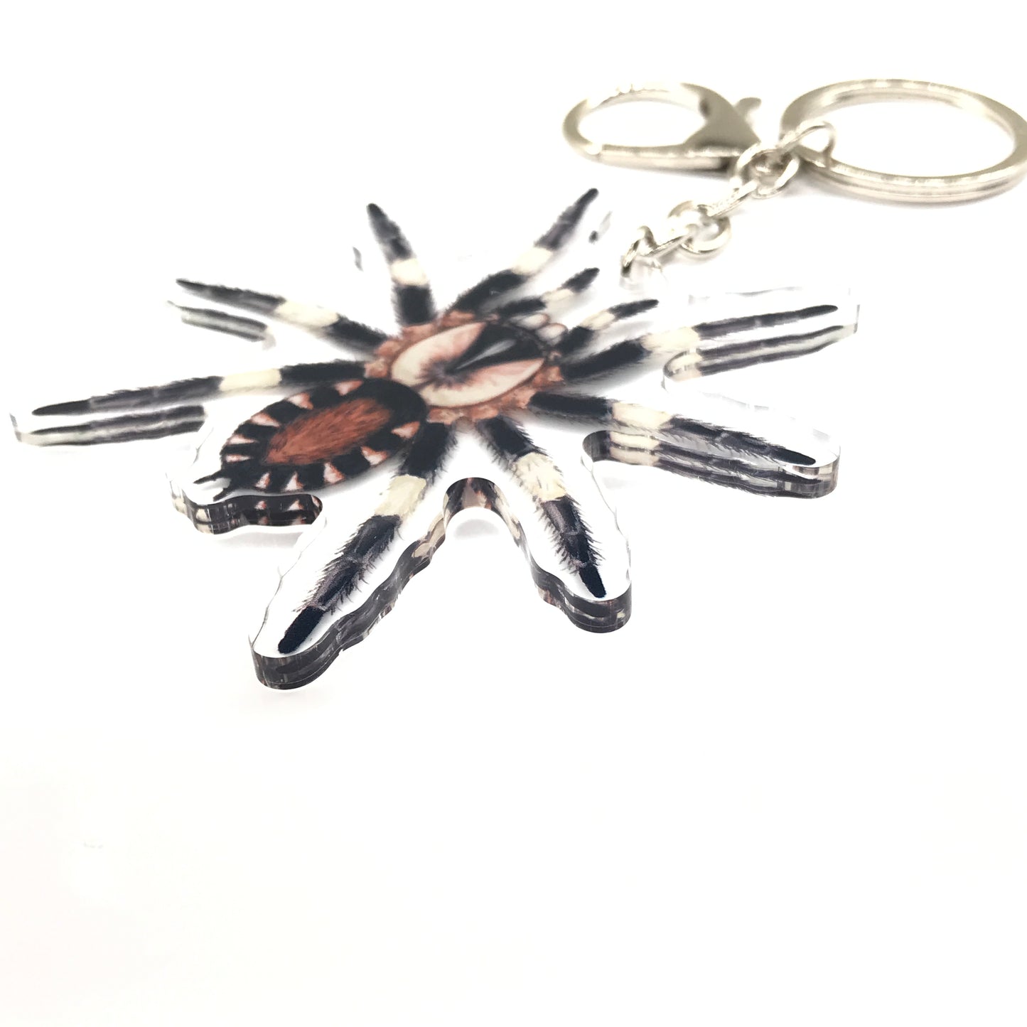 Peruvian Black And White Tarantula, Cyriocosmus Ritae Acrylic Keychain