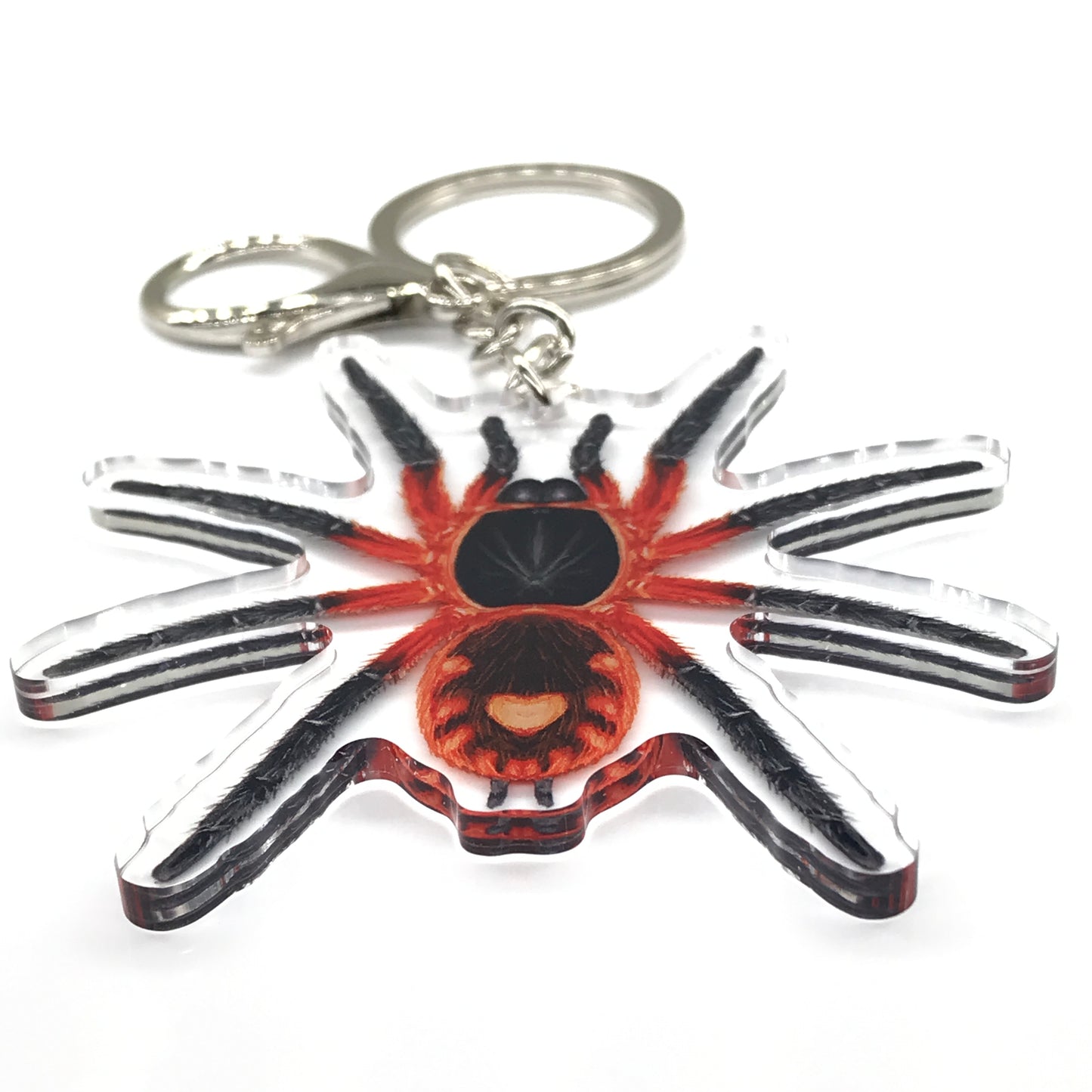 Lava Tarantula, Davus sp. Panama Acrylic Keychain