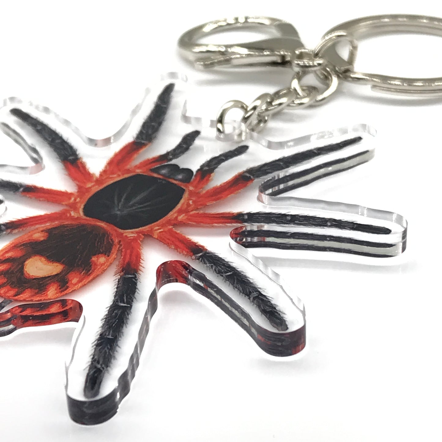 Lava Tarantula, Davus sp. Panama Acrylic Keychain