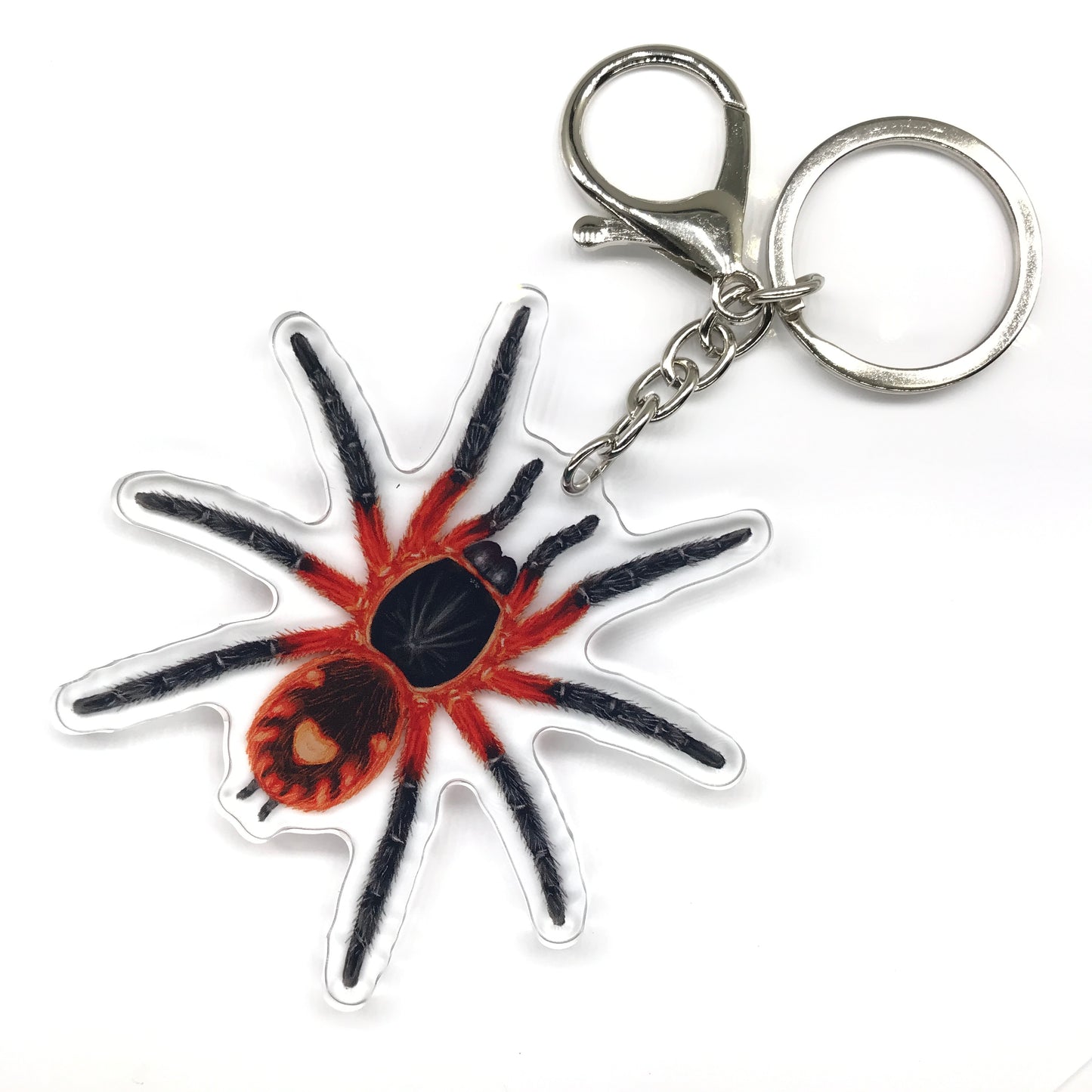 Lava Tarantula, Davus sp. Panama Acrylic Keychain