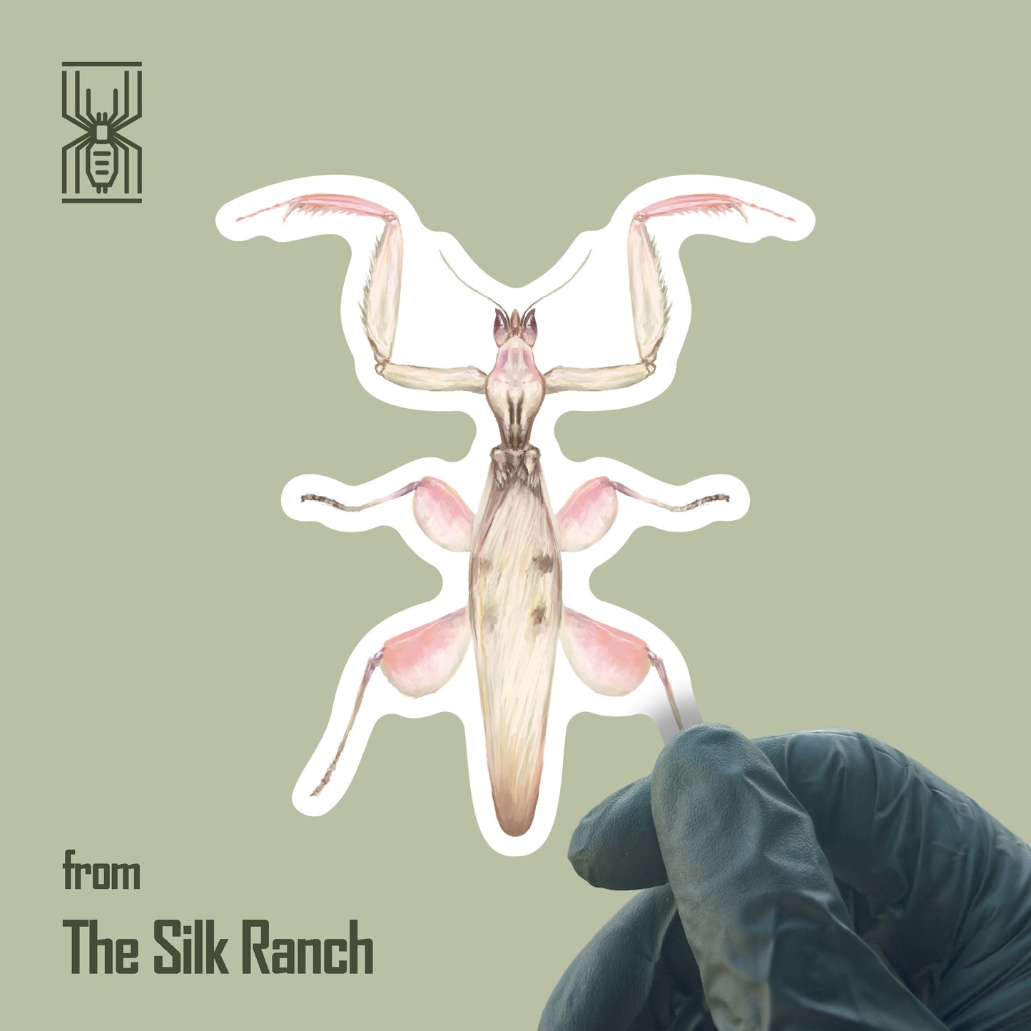 Orchid Mantis Sticker, Hymenopus Coronatus Waterproof Vinyl Sticker