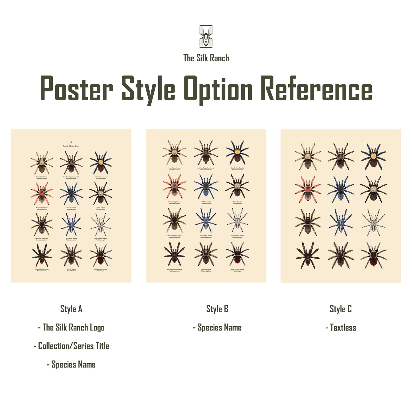 Tarantula Collection: Series II Poster