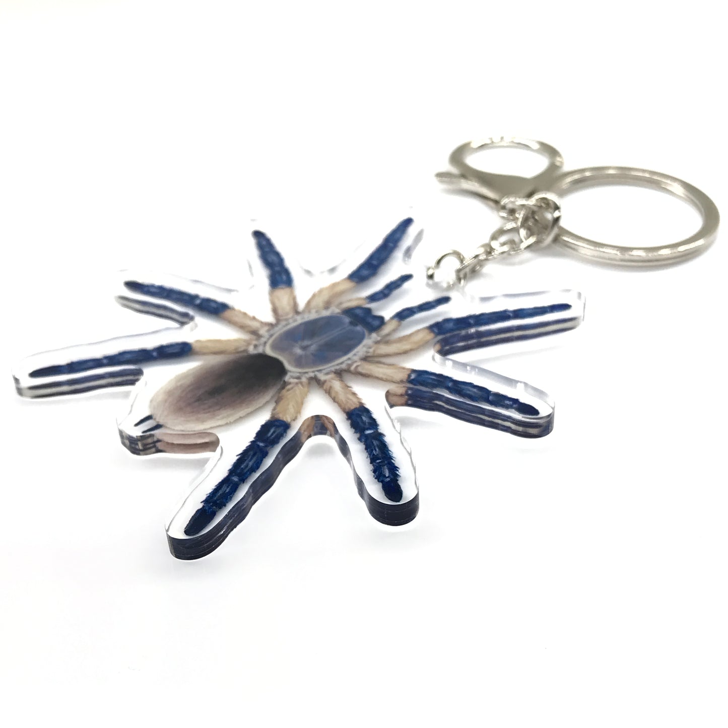 Socotra Island Blue Baboon Tarantula, Monocentropus Balfouri Acrylic Keychain