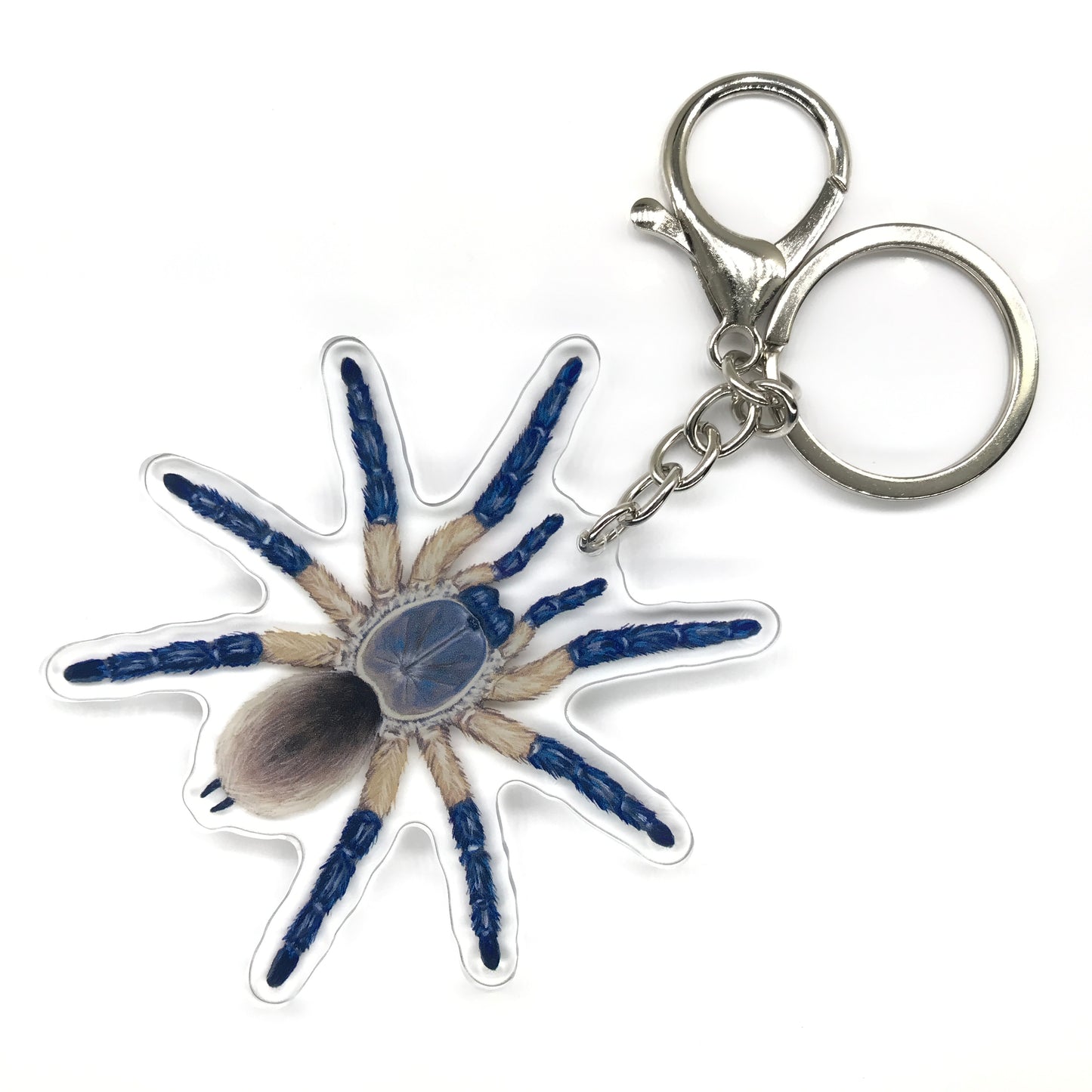 Socotra Island Blue Baboon Tarantula, Monocentropus Balfouri Acrylic Keychain