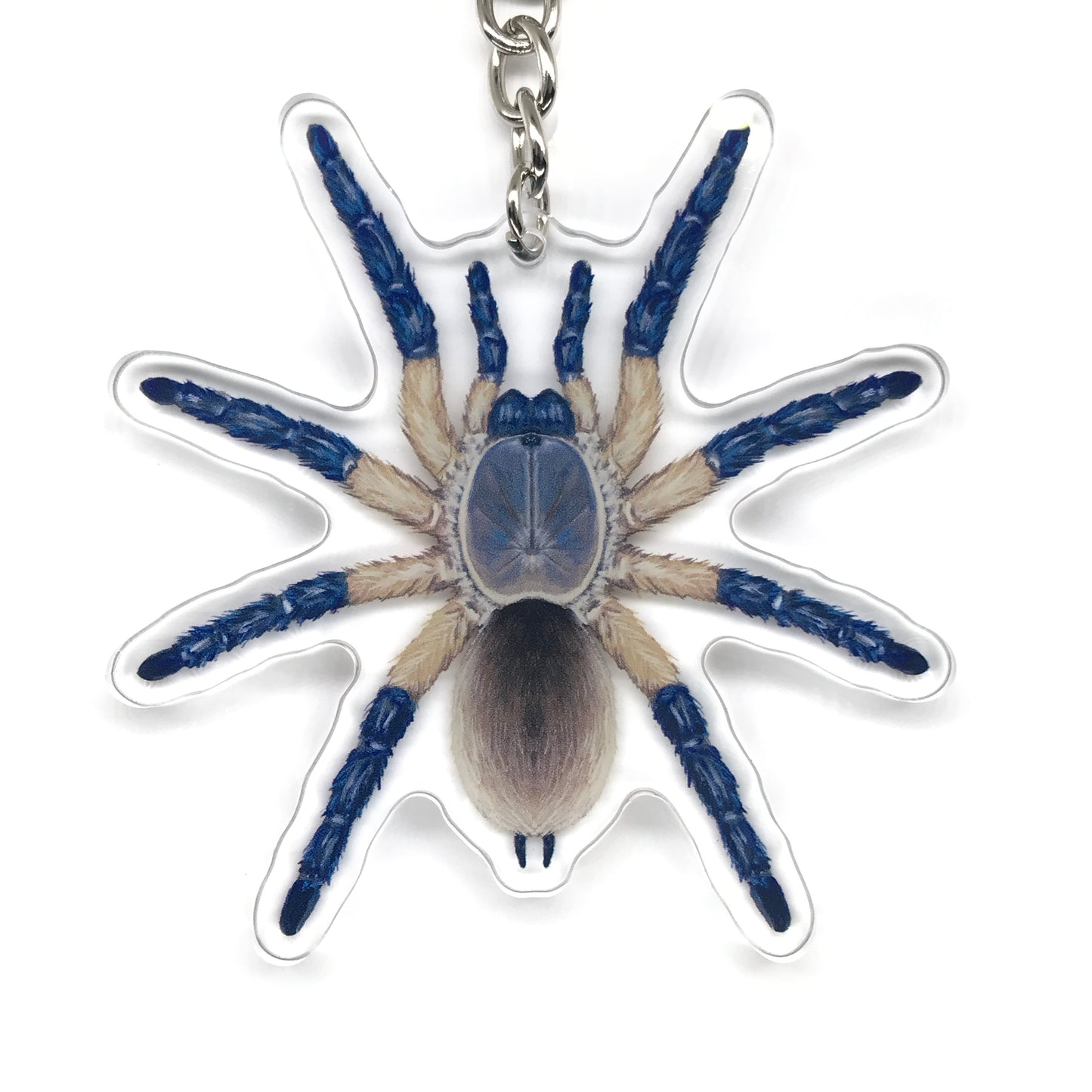 Socotra Island Blue Baboon Tarantula, Monocentropus Balfouri Acrylic Keychain