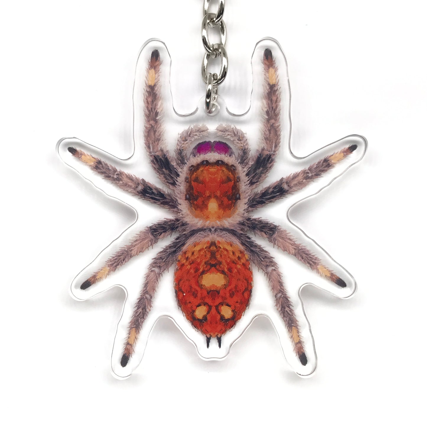 Regal Jumping Spider, Phidippus Regis (Female) Acrylic Keychain