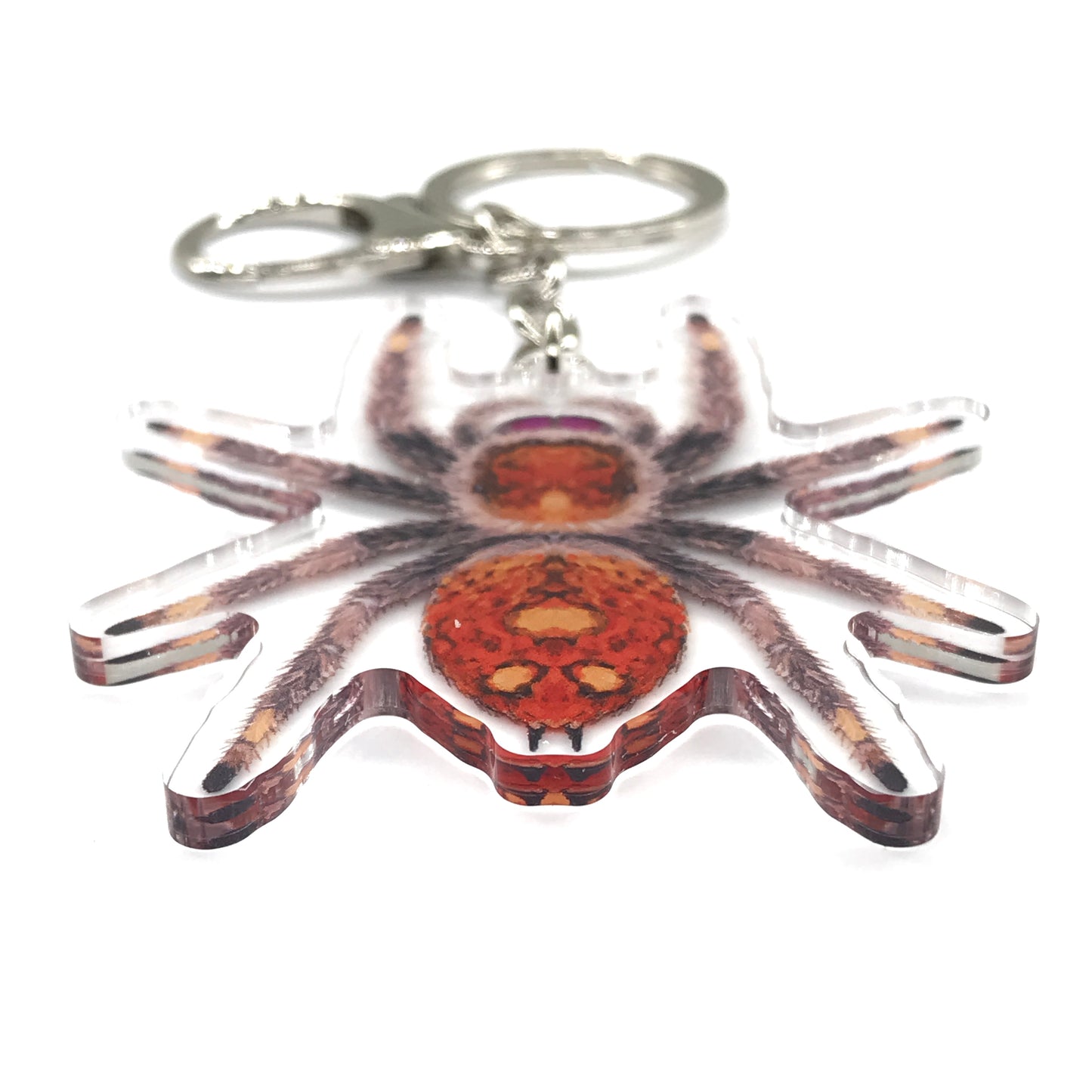 Regal Jumping Spider, Phidippus Regis (Female) Acrylic Keychain