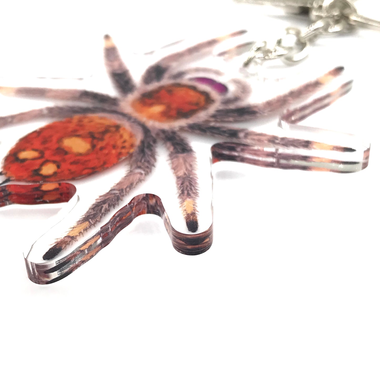 Regal Jumping Spider, Phidippus Regis (Female) Acrylic Keychain