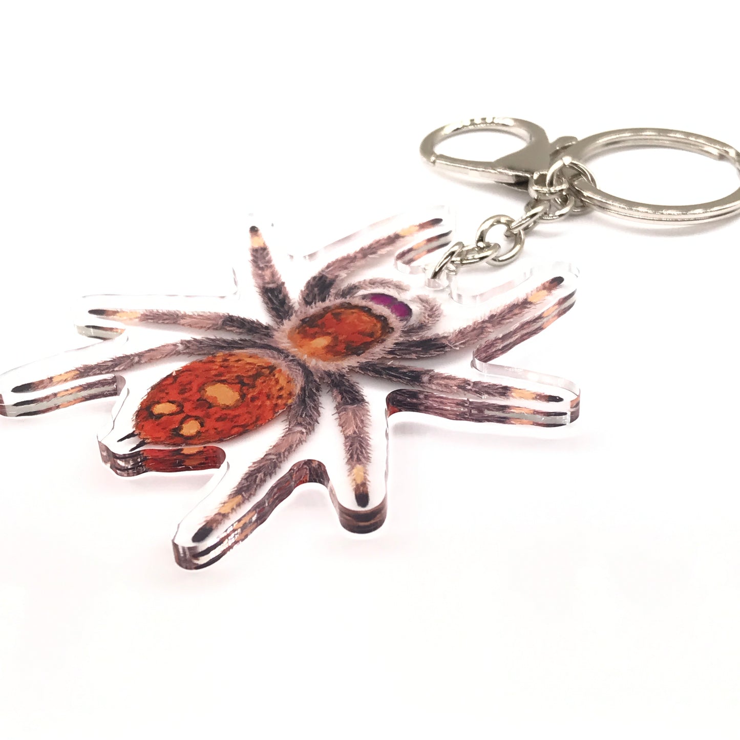 Regal Jumping Spider, Phidippus Regis (Female) Acrylic Keychain